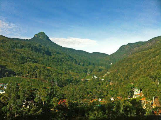 Slightly Chilled Hotel Nallathanniya Bagian luar foto